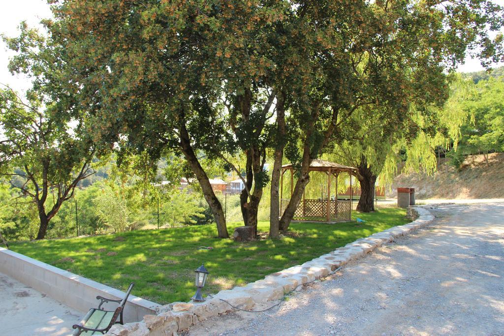 Domaine Plein Sud Hotel Bruzac Kültér fotó